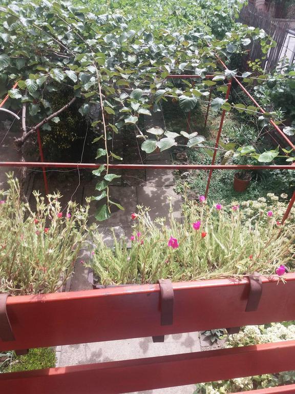 Julija Guest House Ohrid Esterno foto